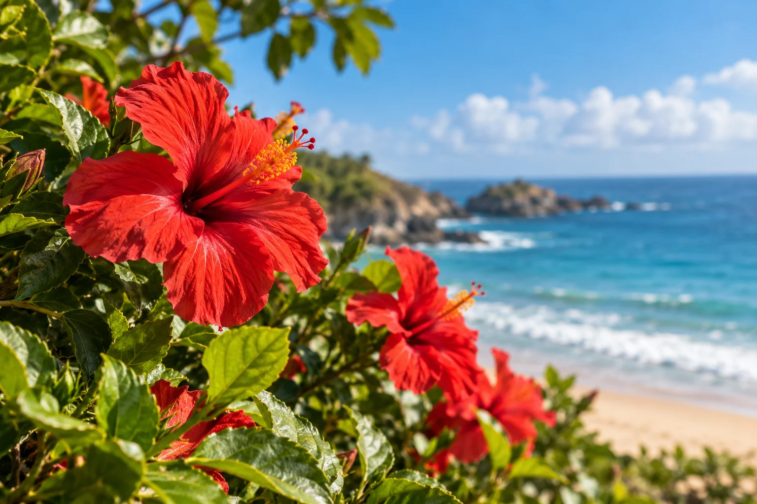 Naturaleza tropical